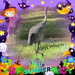 Meet your Posher, Barry